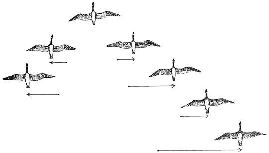 Robust Concensus Control for Multi-agents system