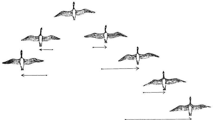 Robust Concensus Control for Multi-agents system